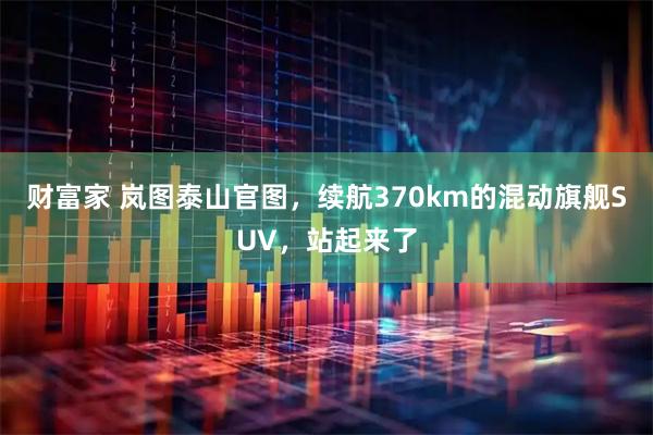 财富家 岚图泰山官图，续航370km的混动旗舰SUV，站起来了