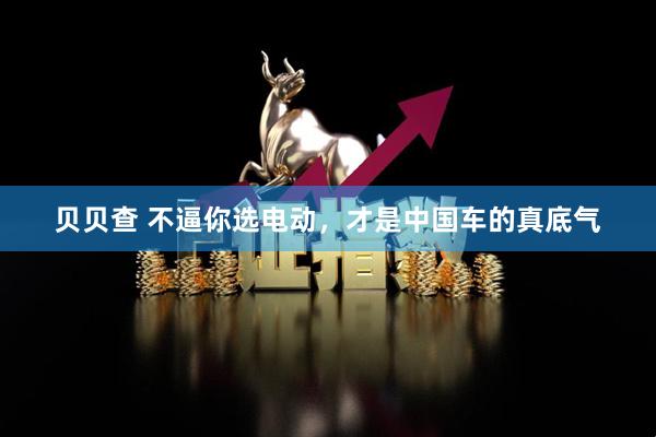 贝贝查 不逼你选电动，才是中国车的真底气