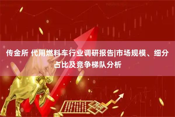 传金所 代用燃料车行业调研报告|市场规模、细分占比及竞争梯队分析