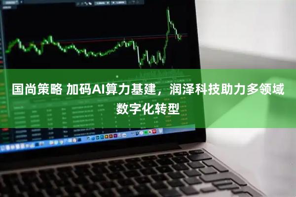 国尚策略 加码AI算力基建，润泽科技助力多领域数字化转型
