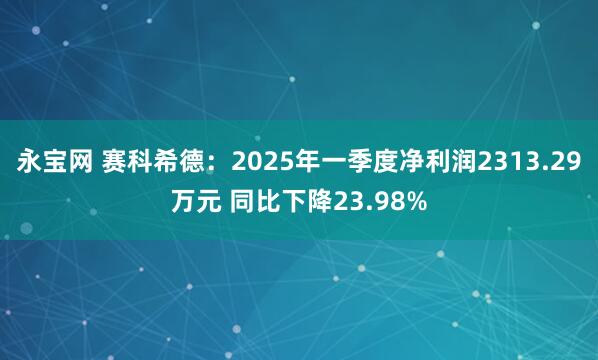 永宝网 赛科希德：2025年一季度净利润2313.29万元 同比下降23.98%