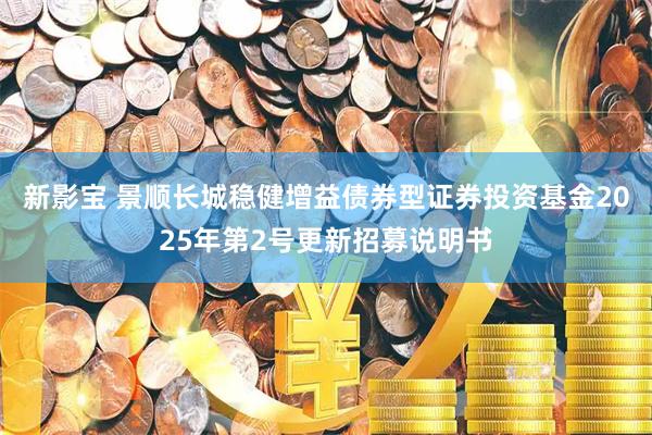 新影宝 景顺长城稳健增益债券型证券投资基金2025年第2号更新招募说明书