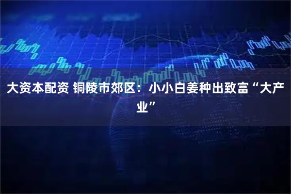 大资本配资 铜陵市郊区：小小白姜种出致富“大产业”