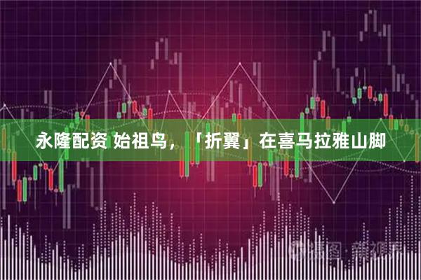 永隆配资 始祖鸟，「折翼」在喜马拉雅山脚