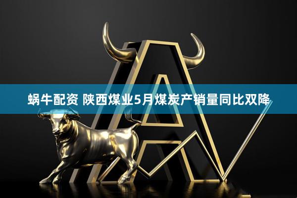 蜗牛配资 陕西煤业5月煤炭产销量同比双降