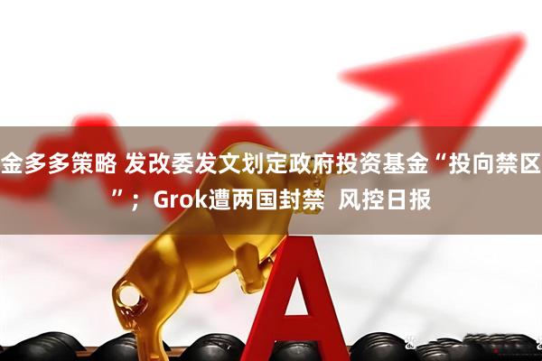 金多多策略 发改委发文划定政府投资基金“投向禁区”；Grok遭两国封禁  风控日报