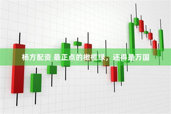 杨方配资 最正点的橄榄绿，还得是万国